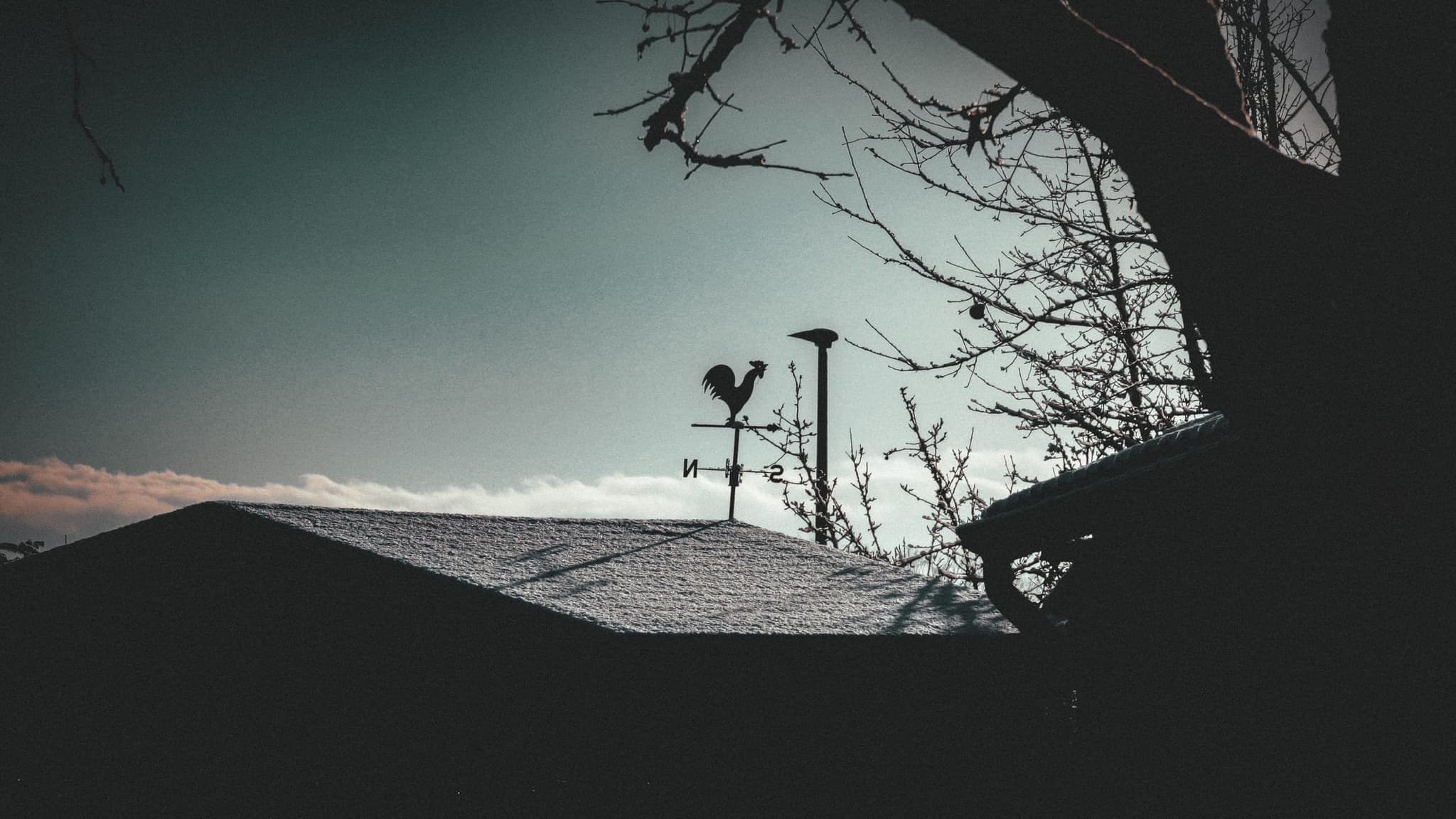 Architecture